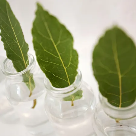 Calme Boutique - Adults Only Δρυός