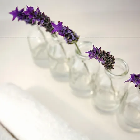 Calme Boutique - Adults Only 5*