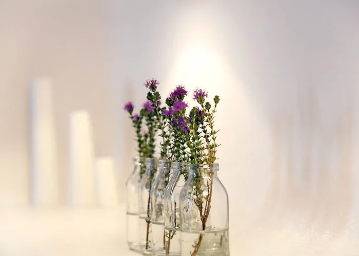 Hotel Calme Boutique Hotel - Adults Only