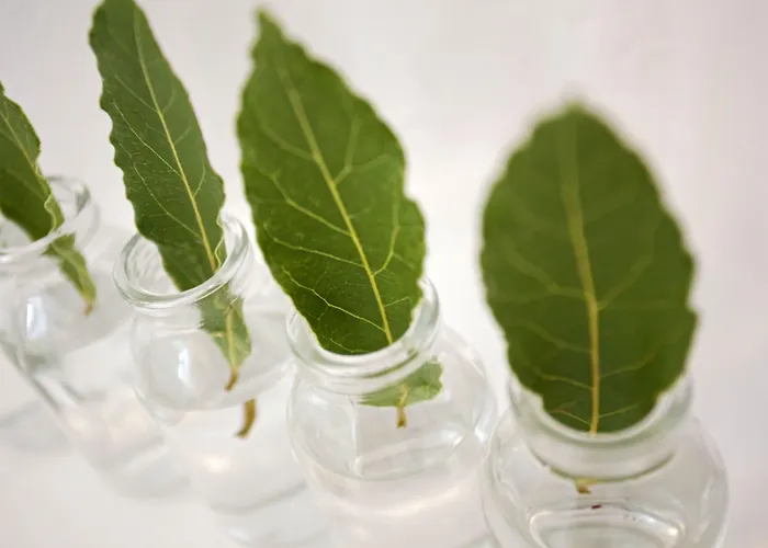 Calme Boutique Hotel - Adults Only Drios