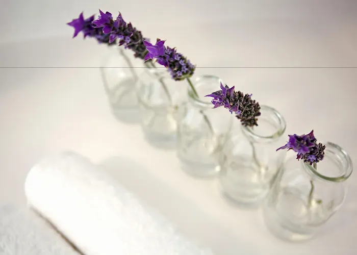 Calme Boutique Hotel - Adults Only 5*