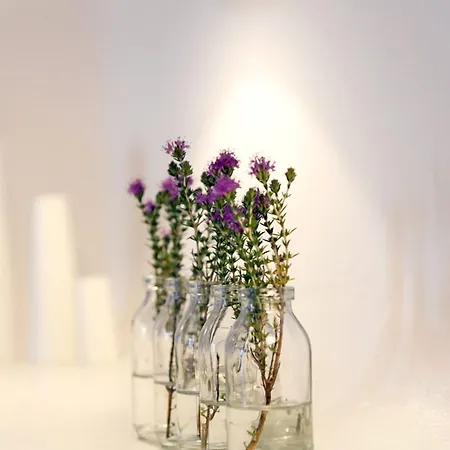 Hotel Calme Boutique - Adults Only