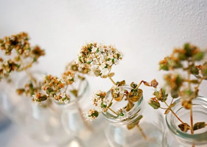 Calme Boutique - Adults Only 5*